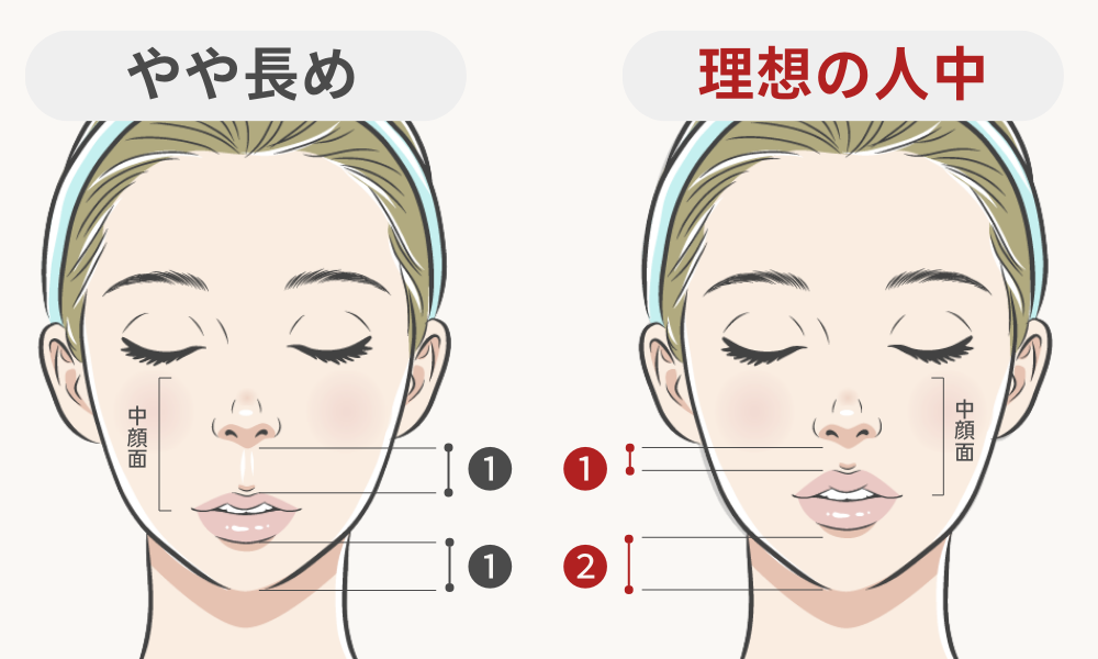 理想的な人中のバランスイメージ
